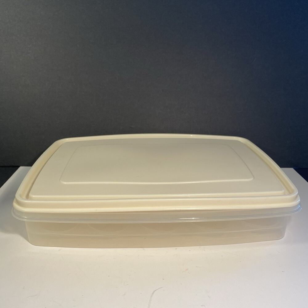Vtg Rubbermaid Servin' Saver 20 Deviled Egg Keeper Container Almond Lid #7